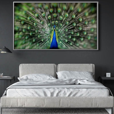 Proud Peacock