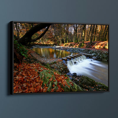 Tollymore Forest Park, County Down