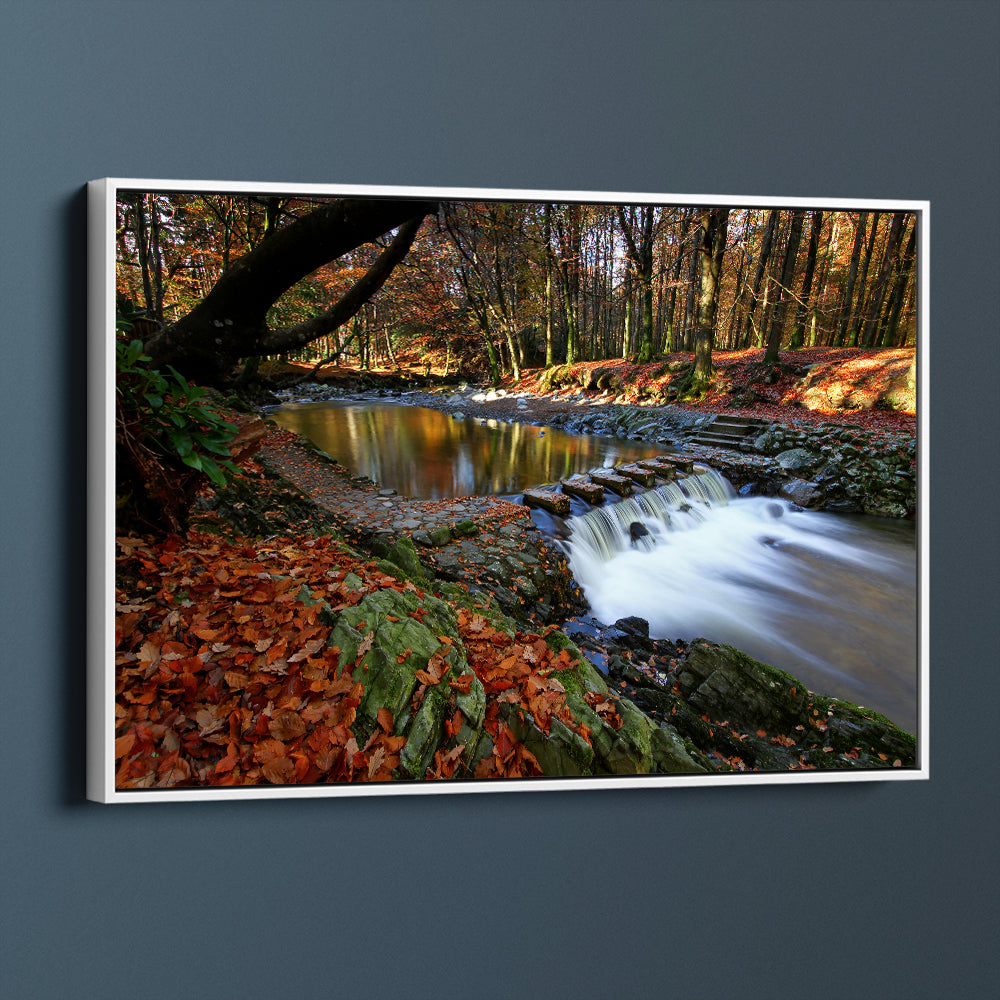 Tollymore Forest Park, County Down