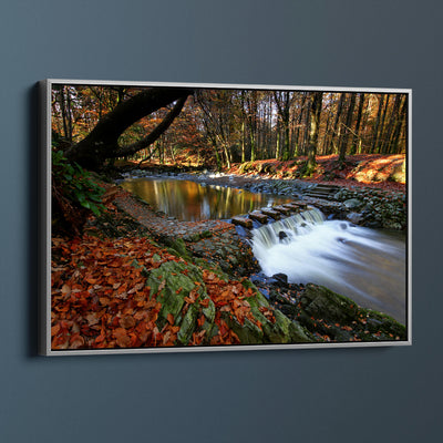 Tollymore Forest Park, County Down