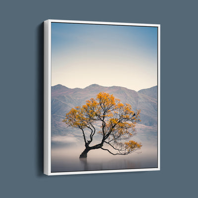 The Lone Tree Lake Wanaka