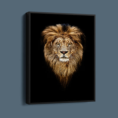 Noble Lion Portrait