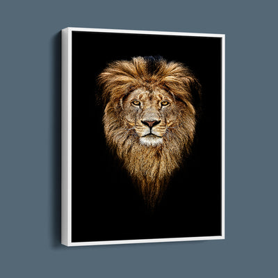 Noble Lion Portrait