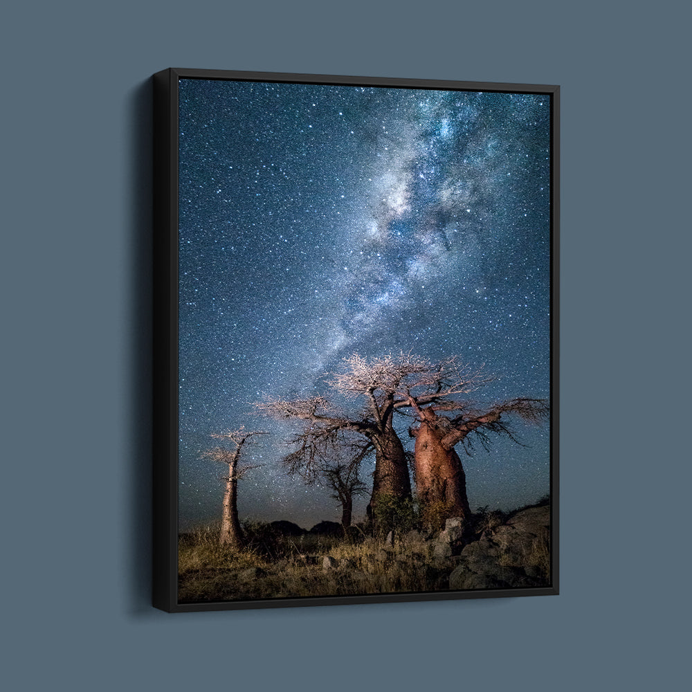 Tree Of Life Stargazing