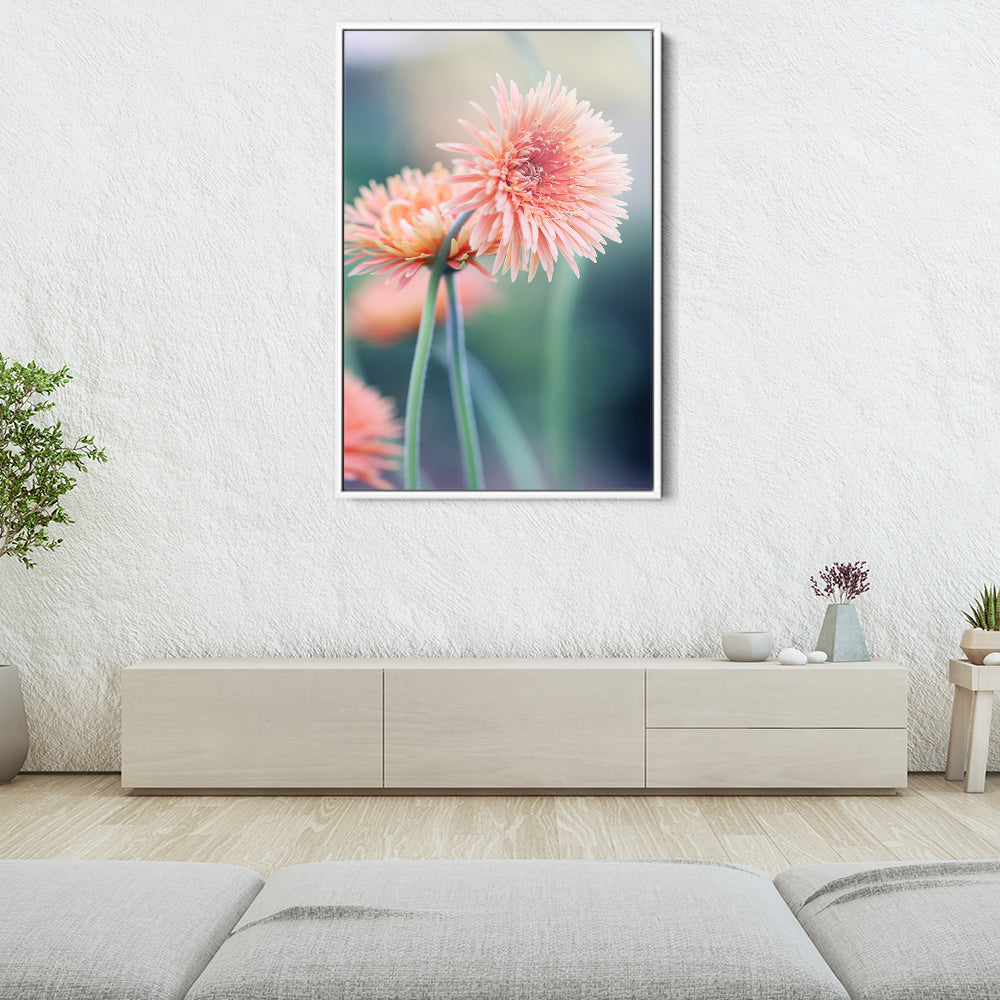 Pink Daisy Flower