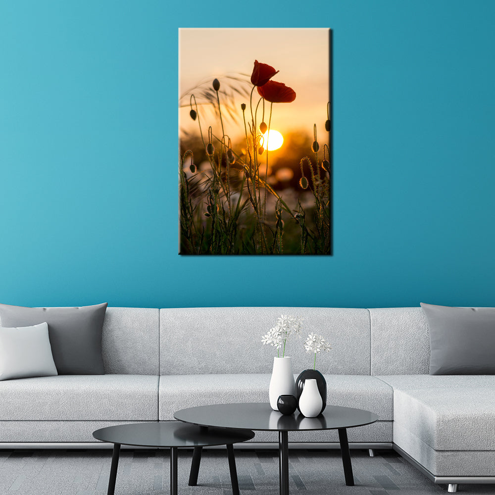 Red Poppy Sunrise