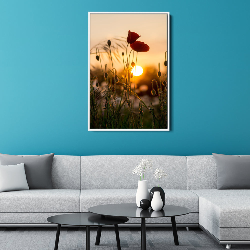 Red Poppy Sunrise