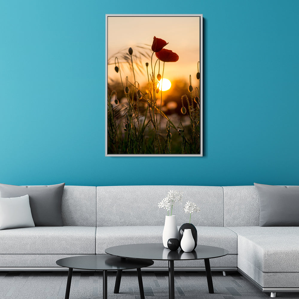 Red Poppy Sunrise