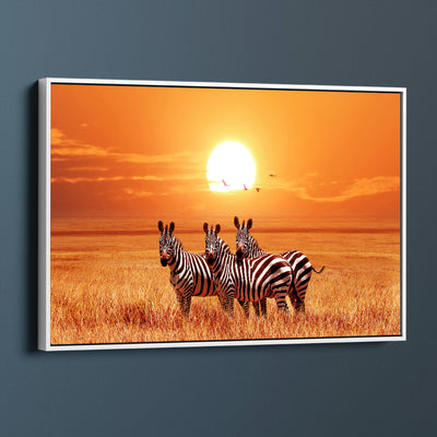 Zebra Sunset Safari