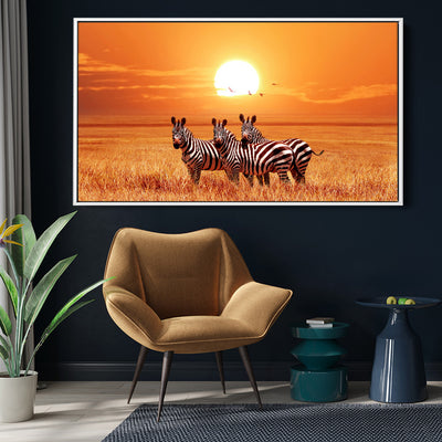 Zebra Sunset Safari