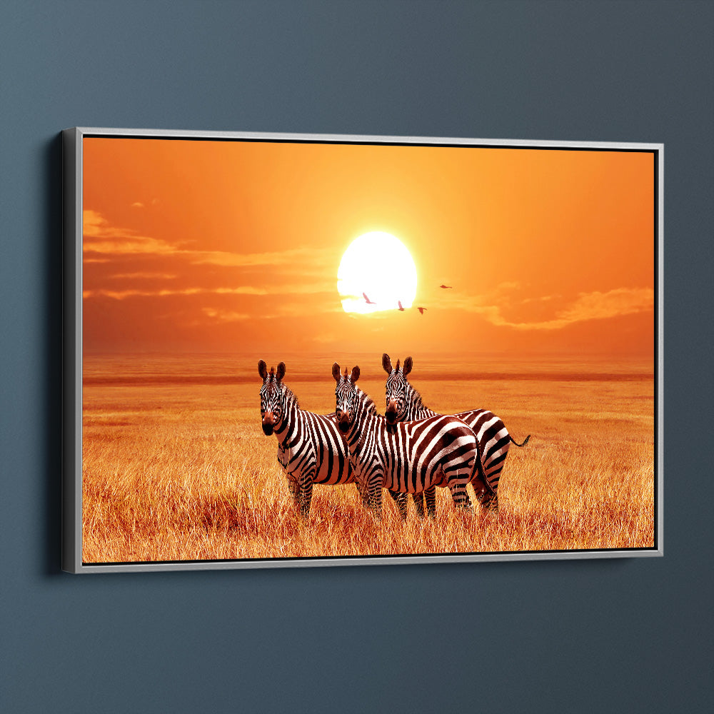 Zebra Sunset Safari