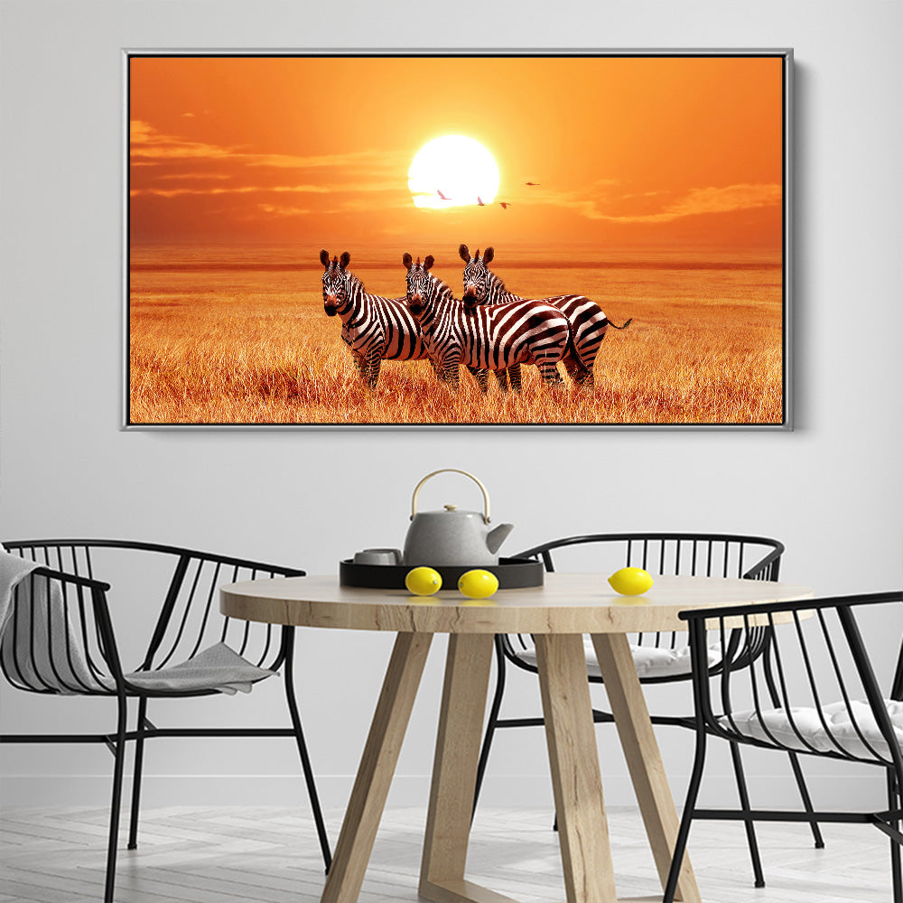 Zebra Sunset Safari