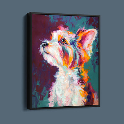 Colourful Highland Terrier Dog