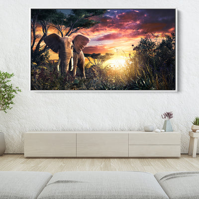 Jungle Elephant Sunset