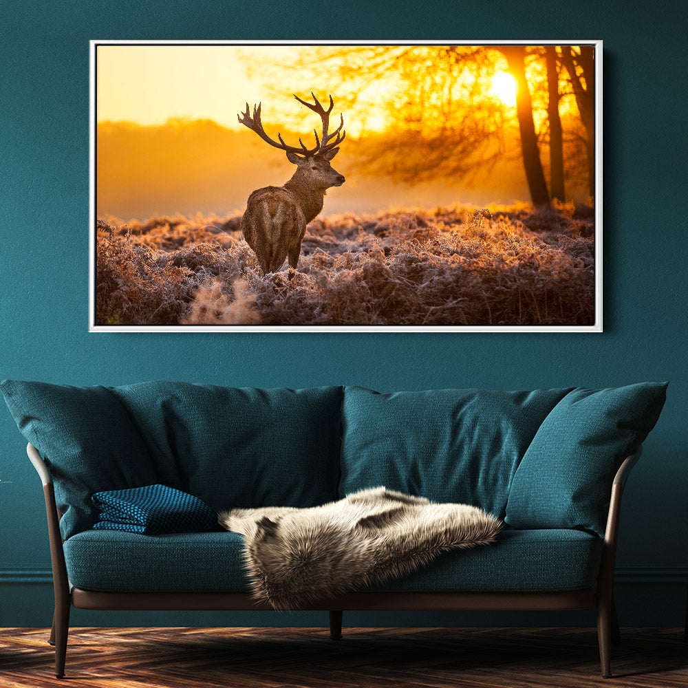 Magnificent Stag Sunrise