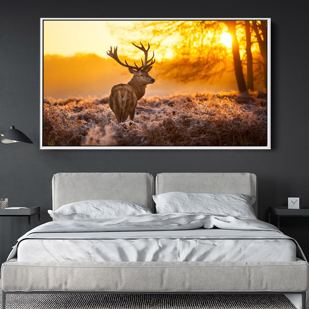 Magnificent Stag Sunrise