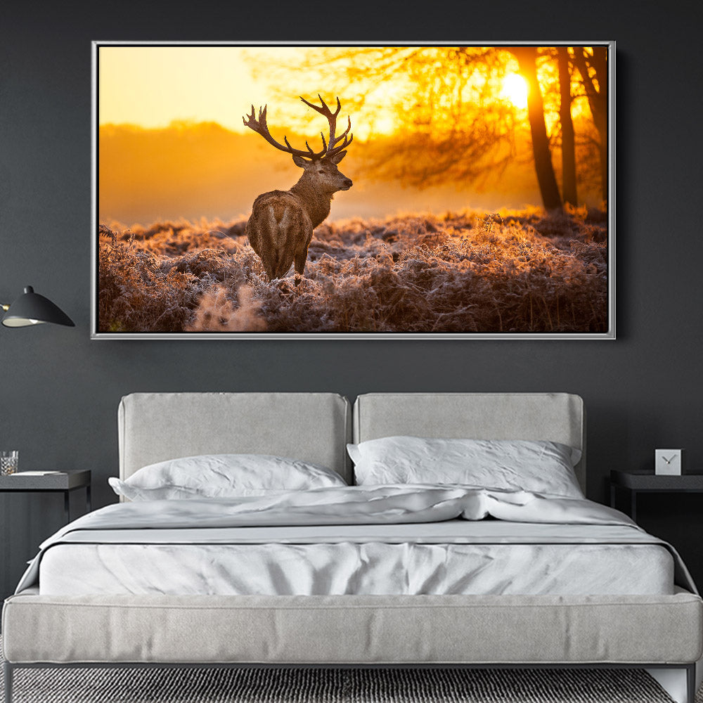 Magnificent Stag Sunrise