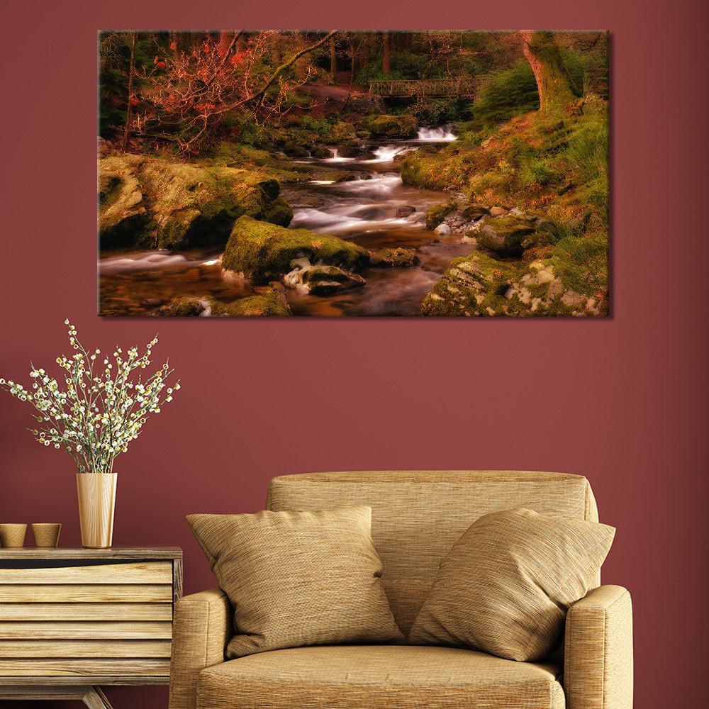 Mountain Stream Tollymore Forest