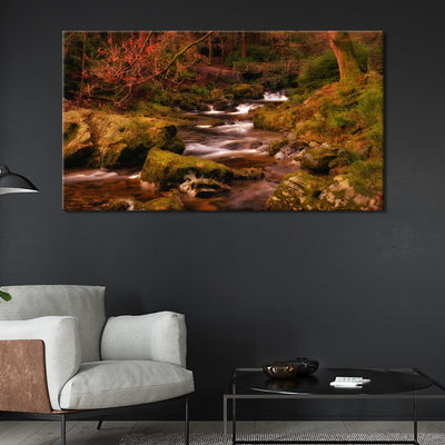 Mountain Stream Tollymore Forest
