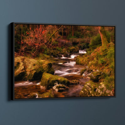 Mountain Stream Tollymore Forest