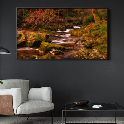 Mountain Stream Tollymore Forest