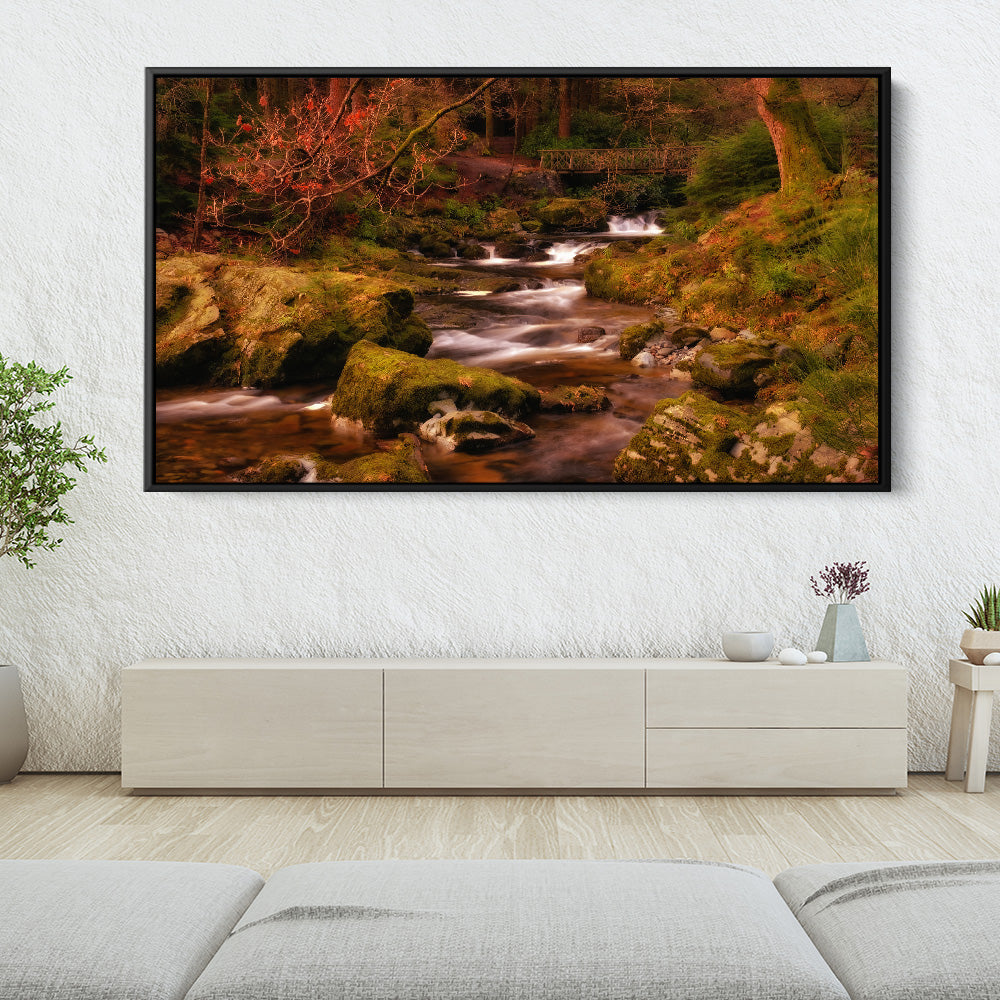 Mountain Stream Tollymore Forest