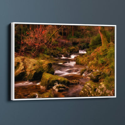 Mountain Stream Tollymore Forest