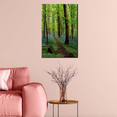 Bluebell Trail, Narrow Water Forest