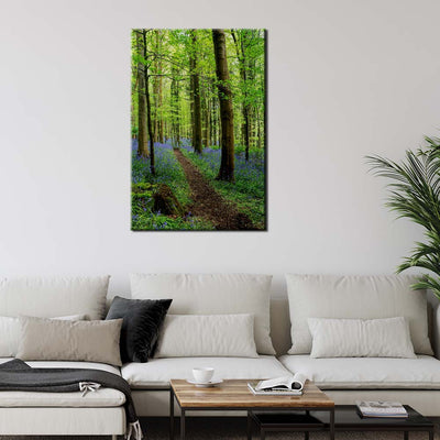 Bluebell Trail, Narrow Water Forest