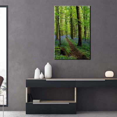Bluebell Trail, Narrow Water Forest