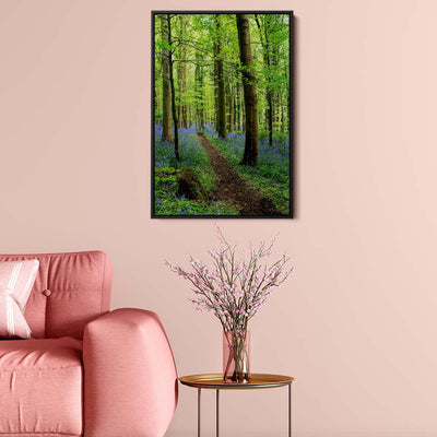 Bluebell Trail, Narrow Water Forest