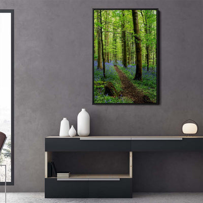 Bluebell Trail, Narrow Water Forest