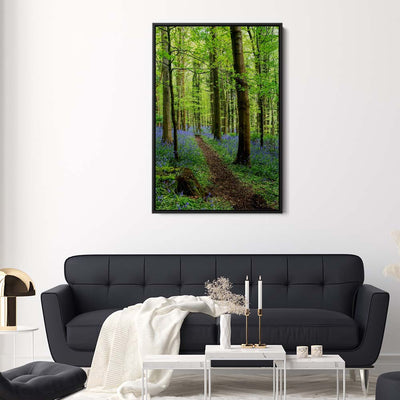 Bluebell Trail, Narrow Water Forest