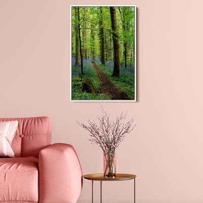 Bluebell Trail, Narrow Water Forest