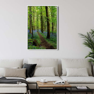 Bluebell Trail, Narrow Water Forest