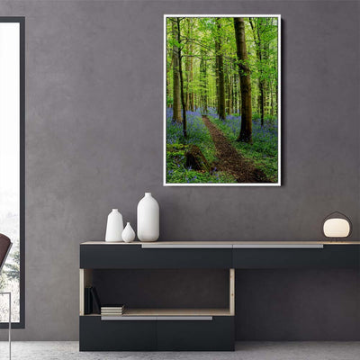 Bluebell Trail, Narrow Water Forest