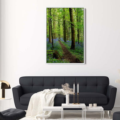 Bluebell Trail, Narrow Water Forest