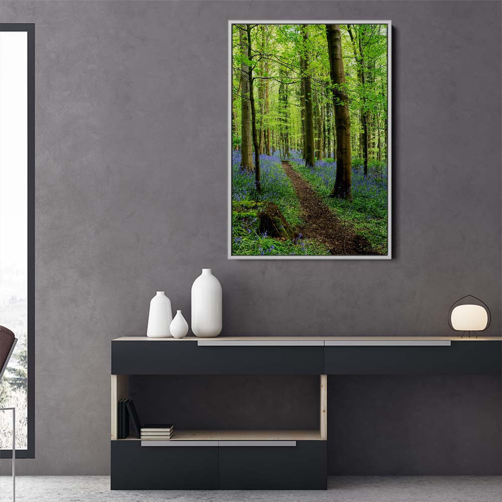 Bluebell Trail, Narrow Water Forest