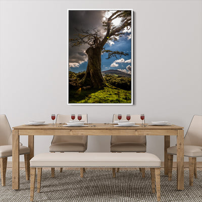 King of the Land, Bessbrook Forest