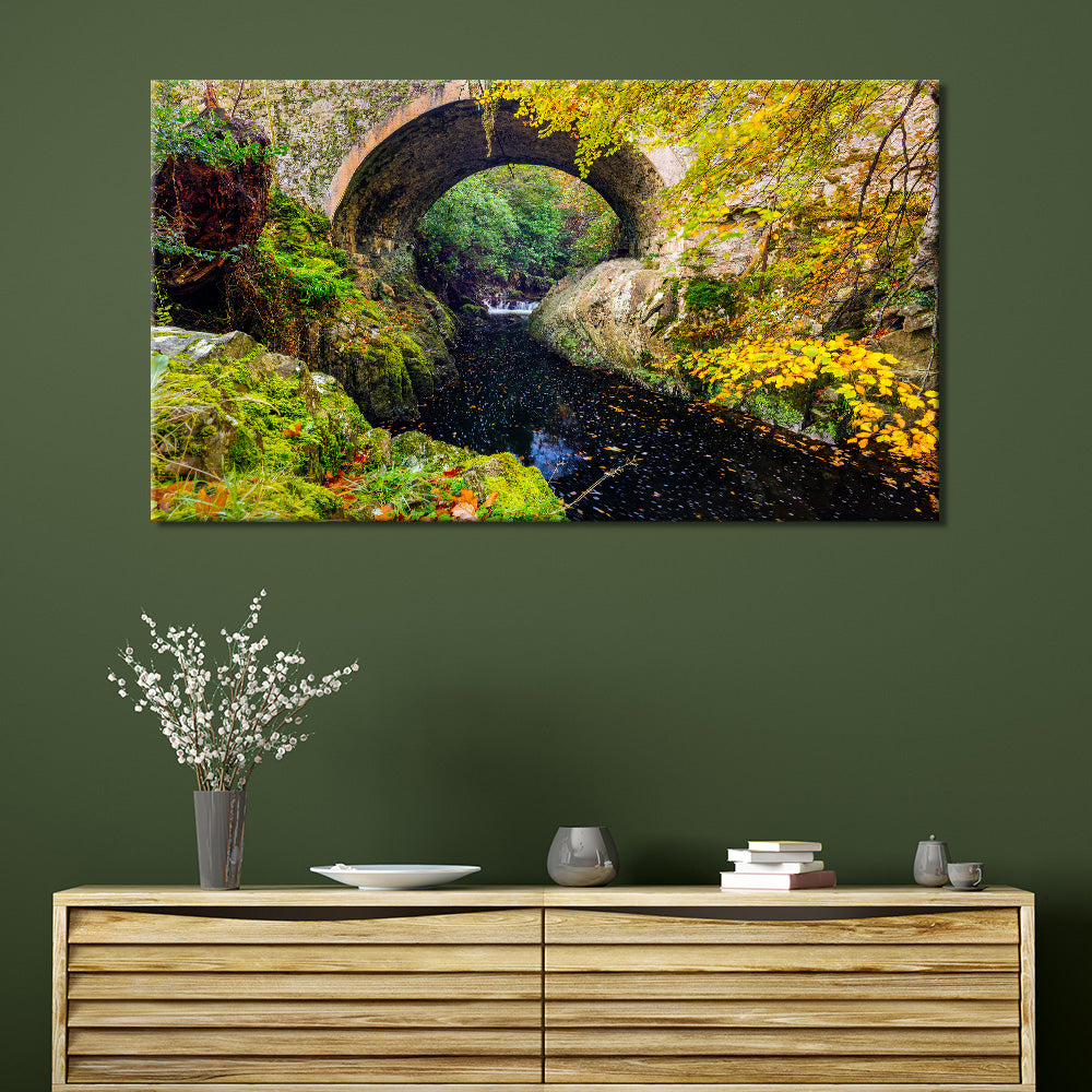 Tollymore Forest Park Bridge