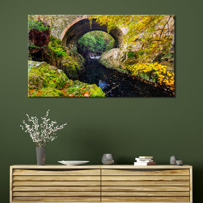Tollymore Forest Park Bridge