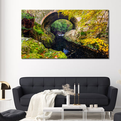 Tollymore Forest Park Bridge