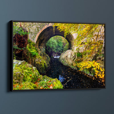 Tollymore Forest Park Bridge