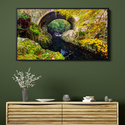 Tollymore Forest Park Bridge
