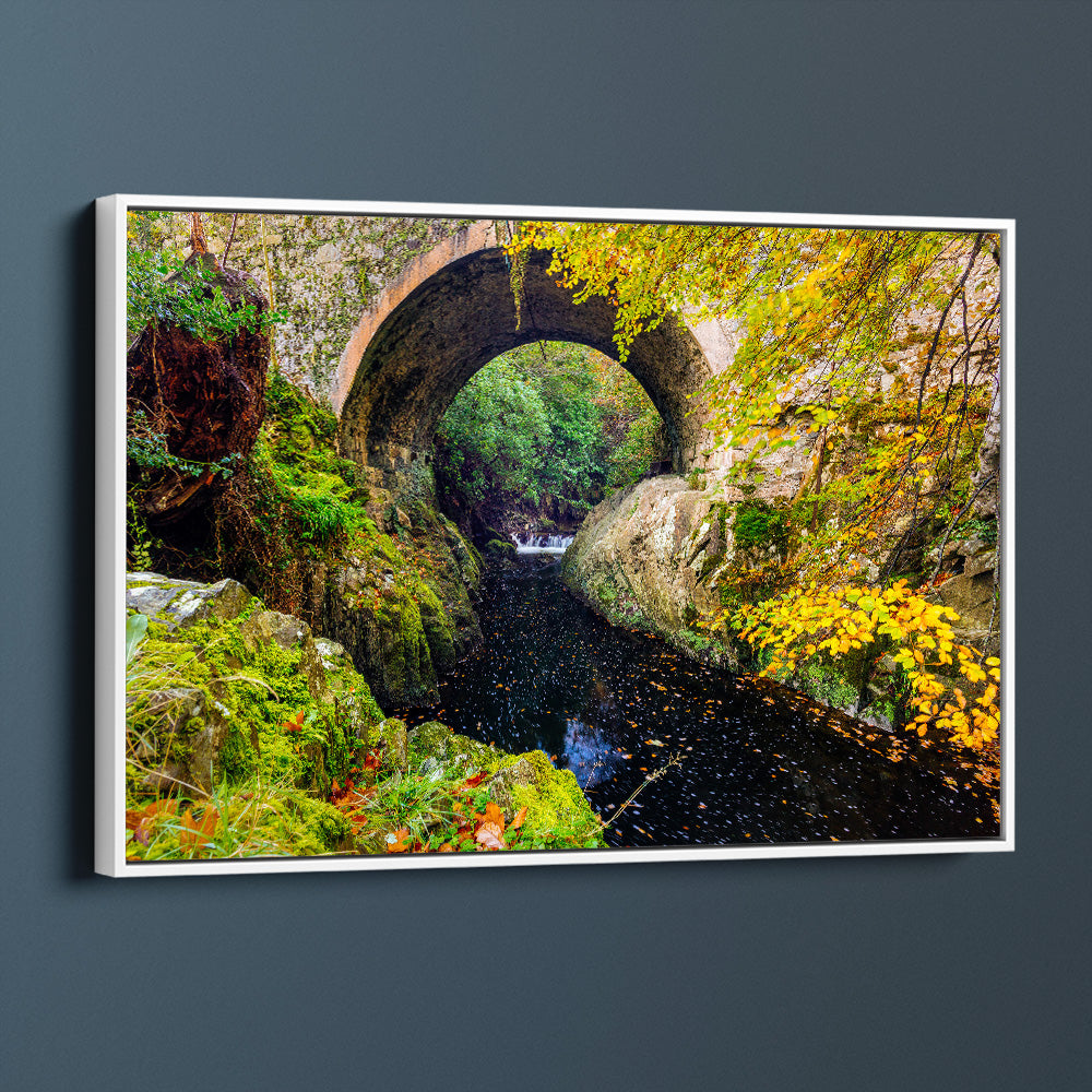 Tollymore Forest Park Bridge