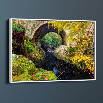 Tollymore Forest Park Bridge