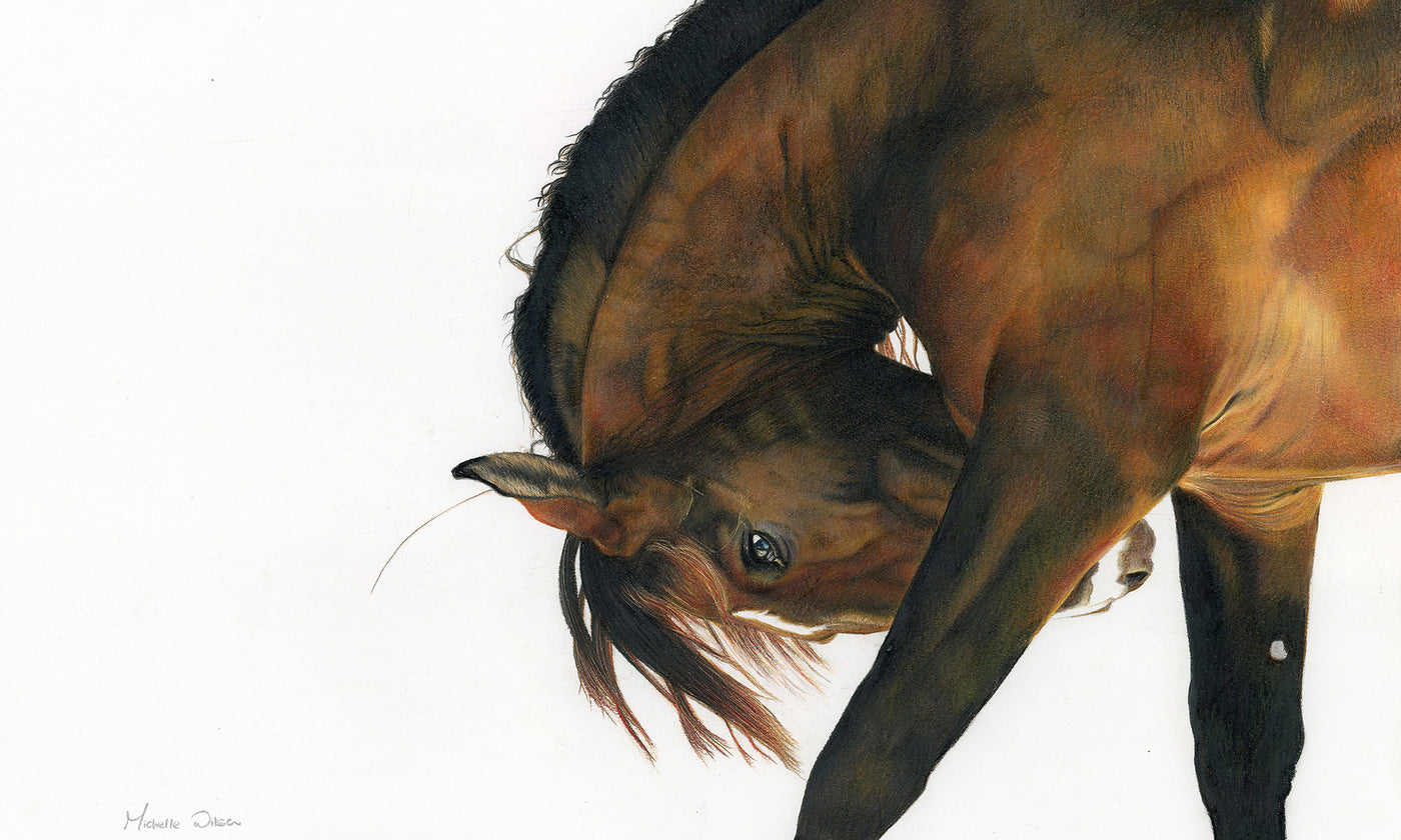 Reverence The Champion Print