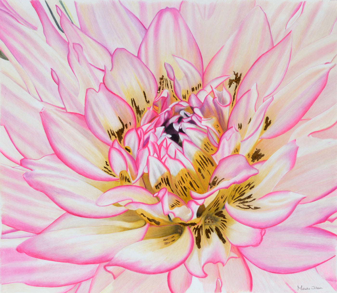 Awakening Pink Blooming Flower Print