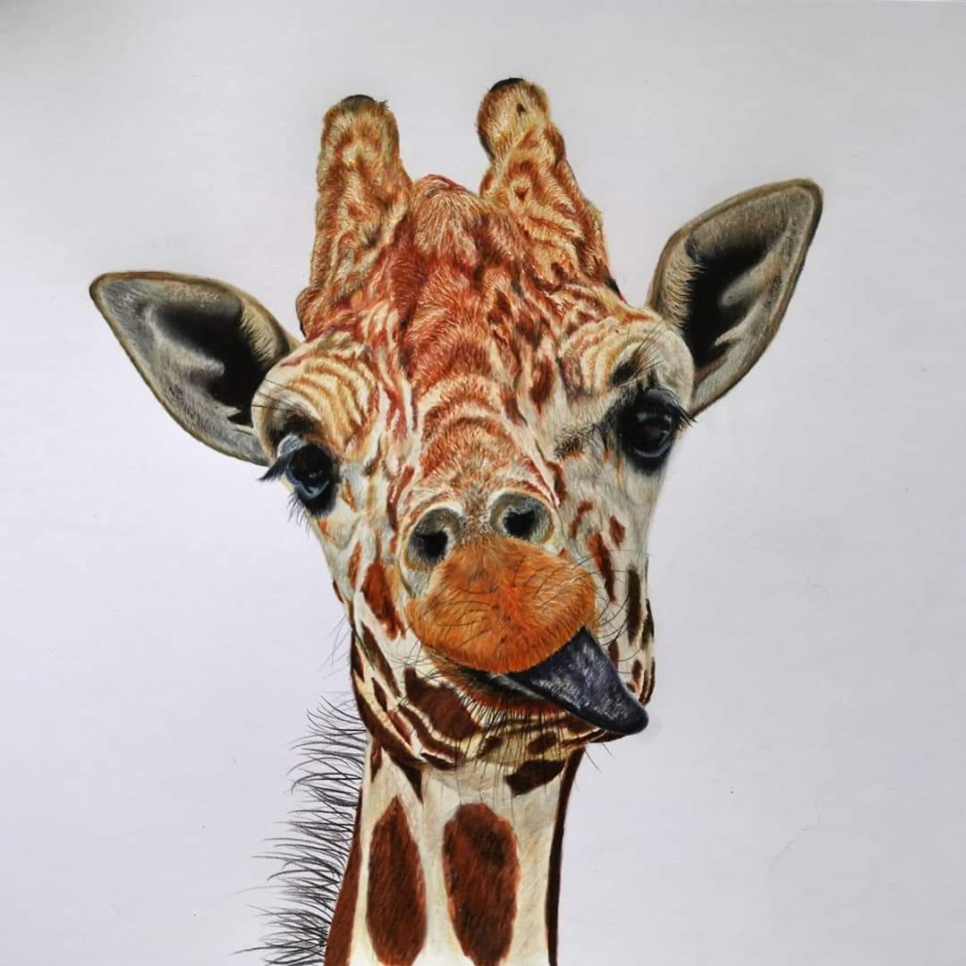 Cheeky Giraffe Print