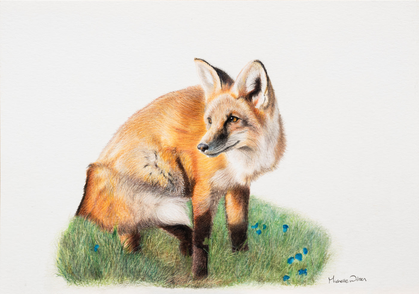 Fox And The Flowers Print